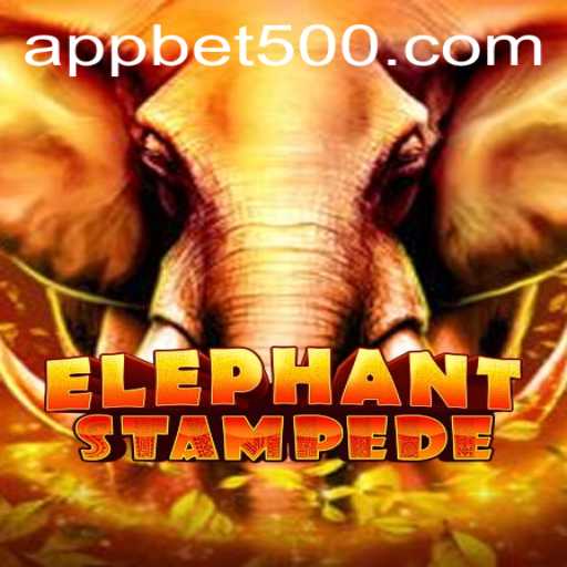 ElephantStampede: A New Adventure in the World of Bet500